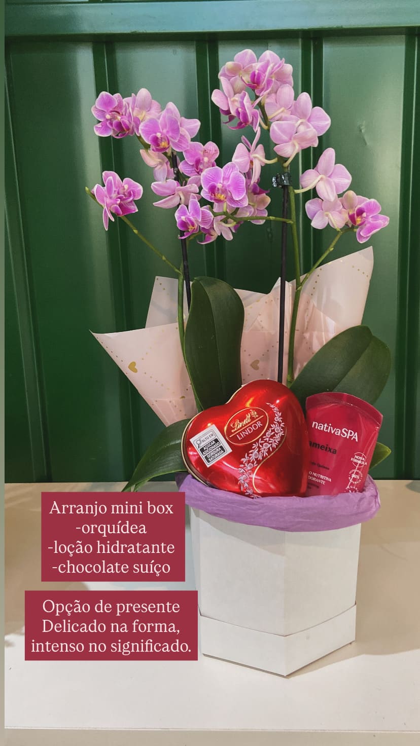 Buquê com tulipas brancas em ambiente de jardim